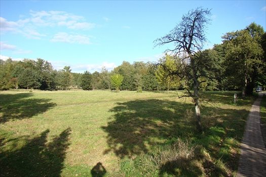 Działka inna na sprzedaż Sierakowo 6 546m2 Foto 2