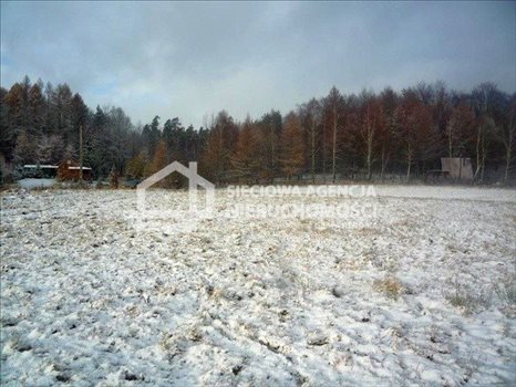 Działka budowlana na sprzedaż Nowa Wieś Przywidzka 11 600m2 Foto 2