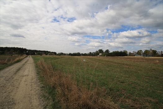Działka budowlana na sprzedaż Kotórz Mały 2 990m2 Foto 2