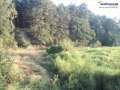 Działka rekreacyjna na sprzedaż Szarbsko 4 570m2 Foto 5