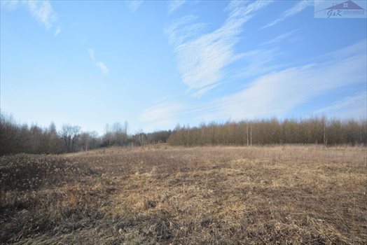 Działka rekreacyjna na sprzedaż Nozdrzec 3 023m2 Foto 1