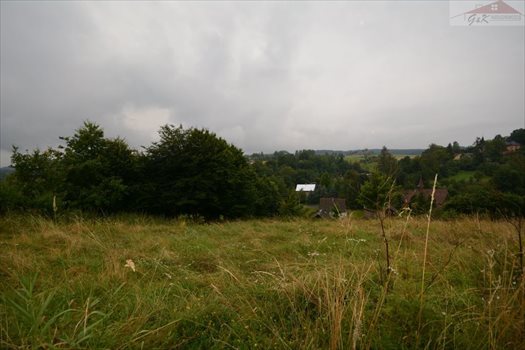 Działka rekreacyjna na sprzedaż Morochów 742m2 Foto 2