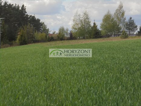 Działka inna na sprzedaż Ostrzyce 1 090m2 Foto 4