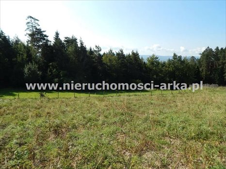 Działka budowlana na sprzedaż Mszana Dolna 1 300m2 Foto 6