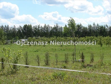 Działka budowlana na sprzedaż Żołędowo 1 300m2 Foto 3