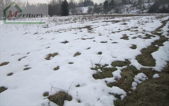 Działka budowlana na sprzedaż Nowy Sącz 920m2 Foto 3
