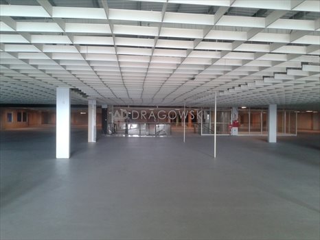 Lokal użytkowy na wynajem Łomianki 500m2 Foto 2