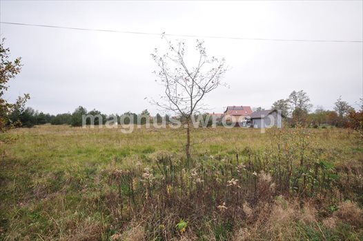 Działka budowlana na sprzedaż Chrząstawa Wielka 1 126m2 Foto 10
