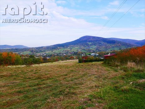 Działka budowlana na sprzedaż Poręba 1 430m2 Foto 1