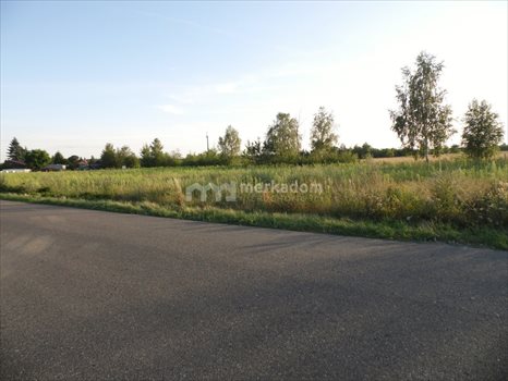 Działka inna na sprzedaż Dąbrówka Leśna 6 899m2 Foto 3