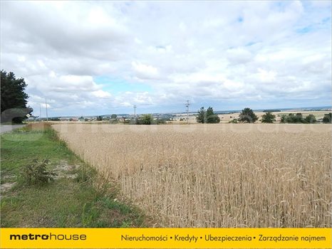 Działka inna na sprzedaż Janów, Chełm 33 379m2 Foto 3