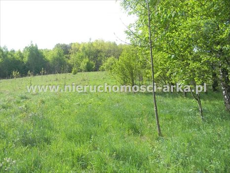 Działka budowlana na sprzedaż Limanowa 5 500m2 Foto 1