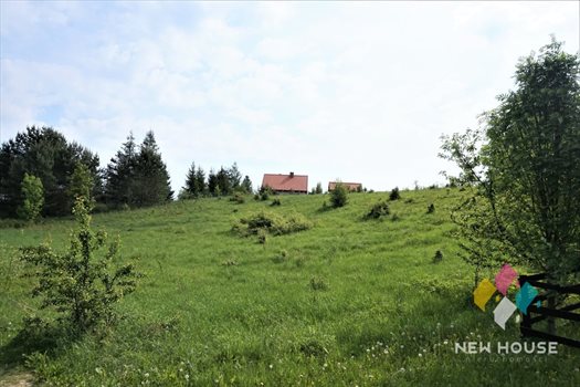 Działka siedliskowa na sprzedaż Łutynowo 3 006m2 Foto 6