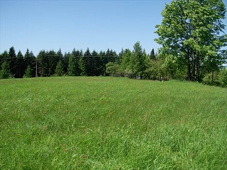 Dom na sprzedaż Porąbka 110m2 Foto 5