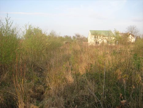 Działka rolna na sprzedaż Bierkowo, Leśna 3 241m2 Foto 4