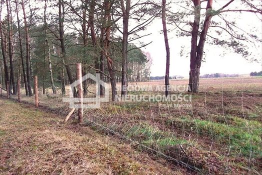 Działka leśna na sprzedaż Strzeczona 129 577m2 Foto 11