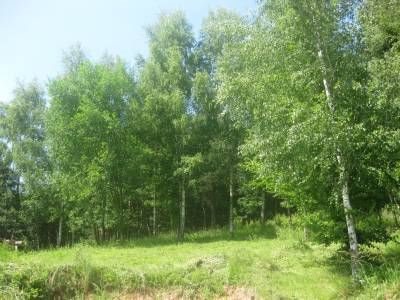 Działka budowlana na sprzedaż Kamionek Wielki, Kamionek Wielki 2 499m2 Foto 5