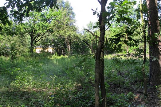 Działka budowlana na sprzedaż Wiązowna Kościelna, Kącka 5 771m2 Foto 3