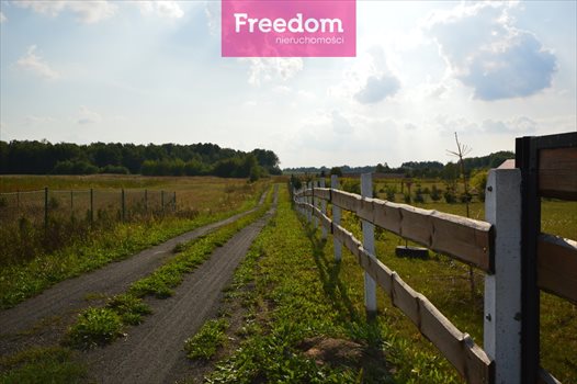 Działka budowlana na sprzedaż Koziki 1 500m2 Foto 6