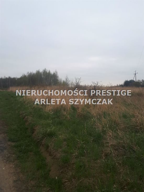 Działka inna na sprzedaż Jastrzębie-Zdrój, Moszczenica, Frysztacka 2 700m2 Foto 2
