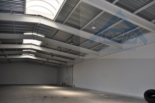 Lokal użytkowy na sprzedaż Nowy Konik 2 300m2 Foto 2
