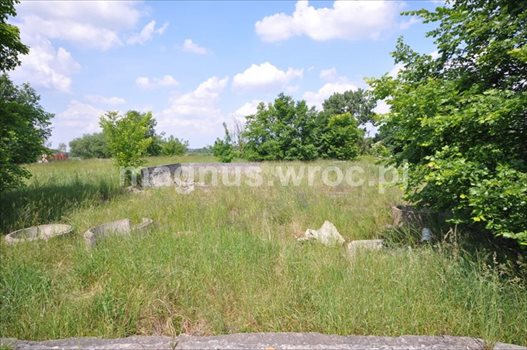 Działka budowlana na sprzedaż Marcinkowice 1 256m2 Foto 2