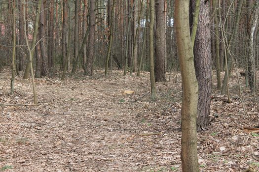 Działka budowlana na sprzedaż Warszawa, Wawer, Izbicka/Koprowa 2 274m2 Foto 5