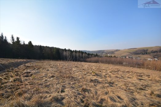Działka rekreacyjna na sprzedaż Wara 1 876m2 Foto 1