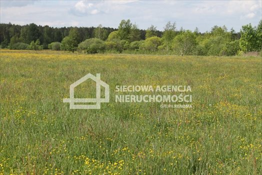 Działka budowlana na sprzedaż Lubowidz 1 160m2 Foto 4