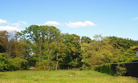 Działka inwestycyjna na sprzedaż Warszawa, Bielany 1 647m2 Foto 2