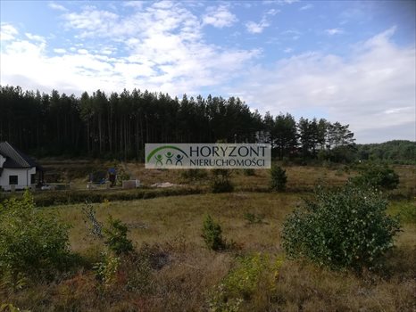 Działka budowlana na sprzedaż Bojano 3 932m2 Foto 4