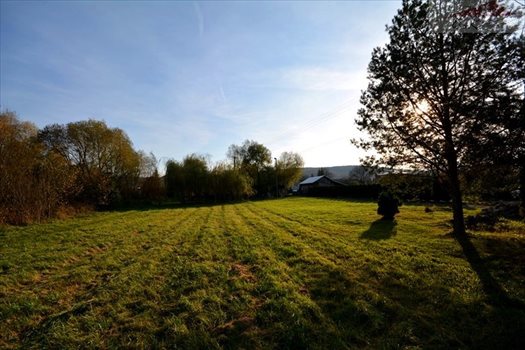 Działka budowlana na sprzedaż Ostrów 2 565m2 Foto 7