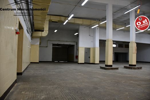 Lokal użytkowy na wynajem Świecie 1 600m2 Foto 8