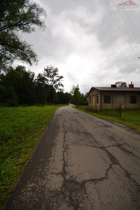 Działka budowlana na sprzedaż Przybówka 4 300m2 Foto 5