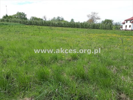Działka inna na sprzedaż Komorniki 14 814m2 Foto 3