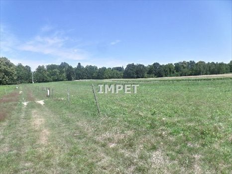Działka inna na sprzedaż Koźlice 10 081m2 Foto 4