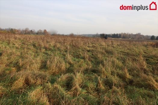 Działka inna na sprzedaż Mała Nieszawka 4 900m2 Foto 4