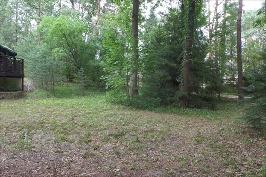 Dom na sprzedaż Rybienko Stare, Wyszków/Rybienko Leśne 70m2 Foto 2