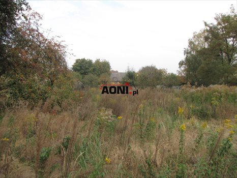 Działka budowlana na sprzedaż Ostrów Wielkopolski, Kaliska 5 896m2 Foto 3