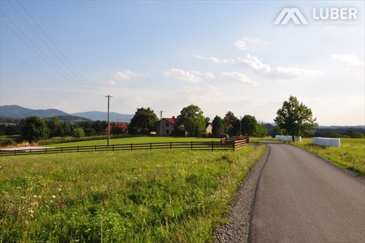Działka budowlana na sprzedaż Bielowicko 3 223m2 Foto 9