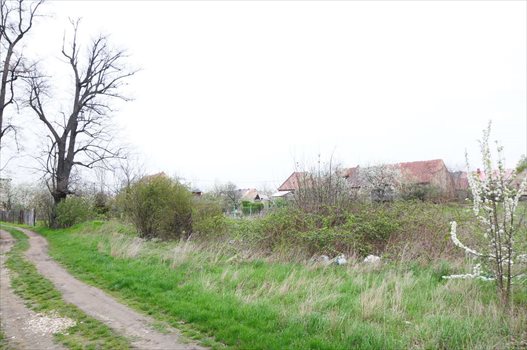 Działka budowlana na sprzedaż Rogów Sobócki 2 902m2 Foto 3
