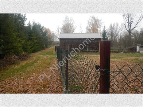 Dom na sprzedaż Piaseczno 60m2 Foto 5