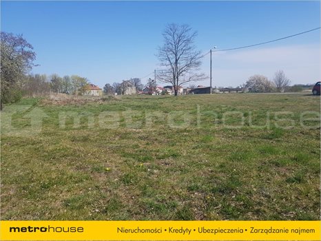 Działka inna na sprzedaż Kisielice, Kisielice 1 690m2 Foto 4