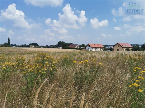 Działka inna na sprzedaż Katowice, Zarzecze, Grota Roweckiego 820m2 Foto 4