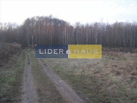 Działka inna pod dzierżawę Łomianki, Dąbrowa Zachodnia 10 000m2 Foto 1