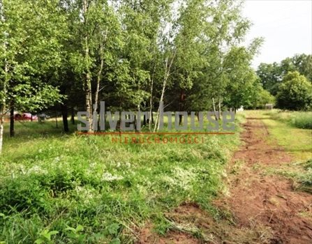 Działka budowlana na sprzedaż Puste Łąki 920m2 Foto 13