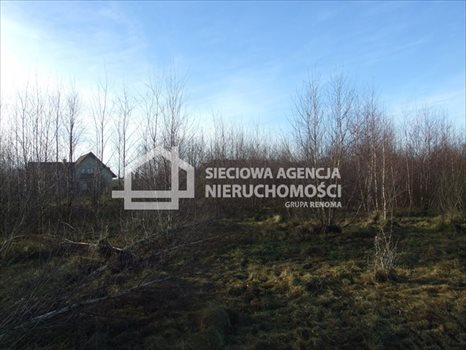 Działka budowlana na sprzedaż Tokary 1 444m2 Foto 5