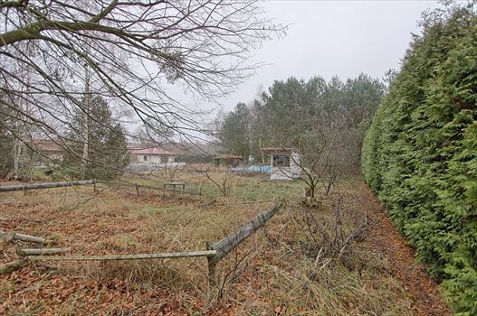 Działka budowlana na sprzedaż Tanowo 1 195m2 Foto 1
