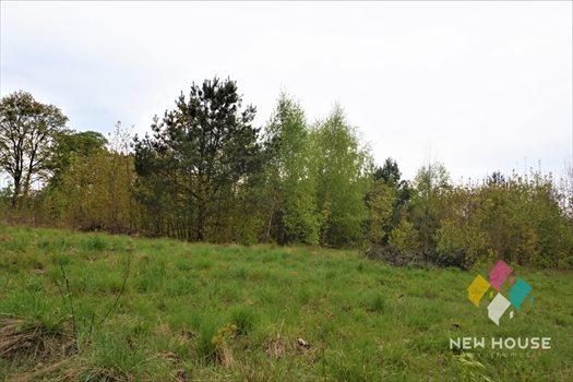 Działka rolna na sprzedaż Jemiołowo 8 377m2 Foto 4