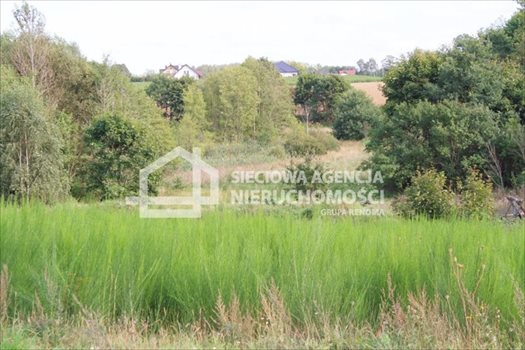 Działka budowlana na sprzedaż Tokary 2 540m2 Foto 8